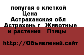 2 попугая с клеткой › Цена ­ 1 500 - Астраханская обл., Астрахань г. Животные и растения » Птицы   